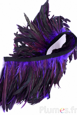 Col coq - long. plumes 20-25 cm - noir-violet